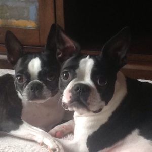 Meet your Posher, Kristin